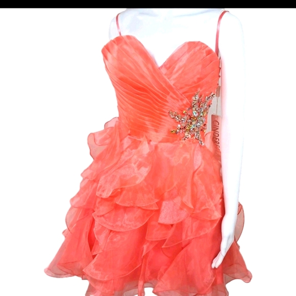 Cinderella Coral  Pink Formal Event Dress - Picture 7 of 9